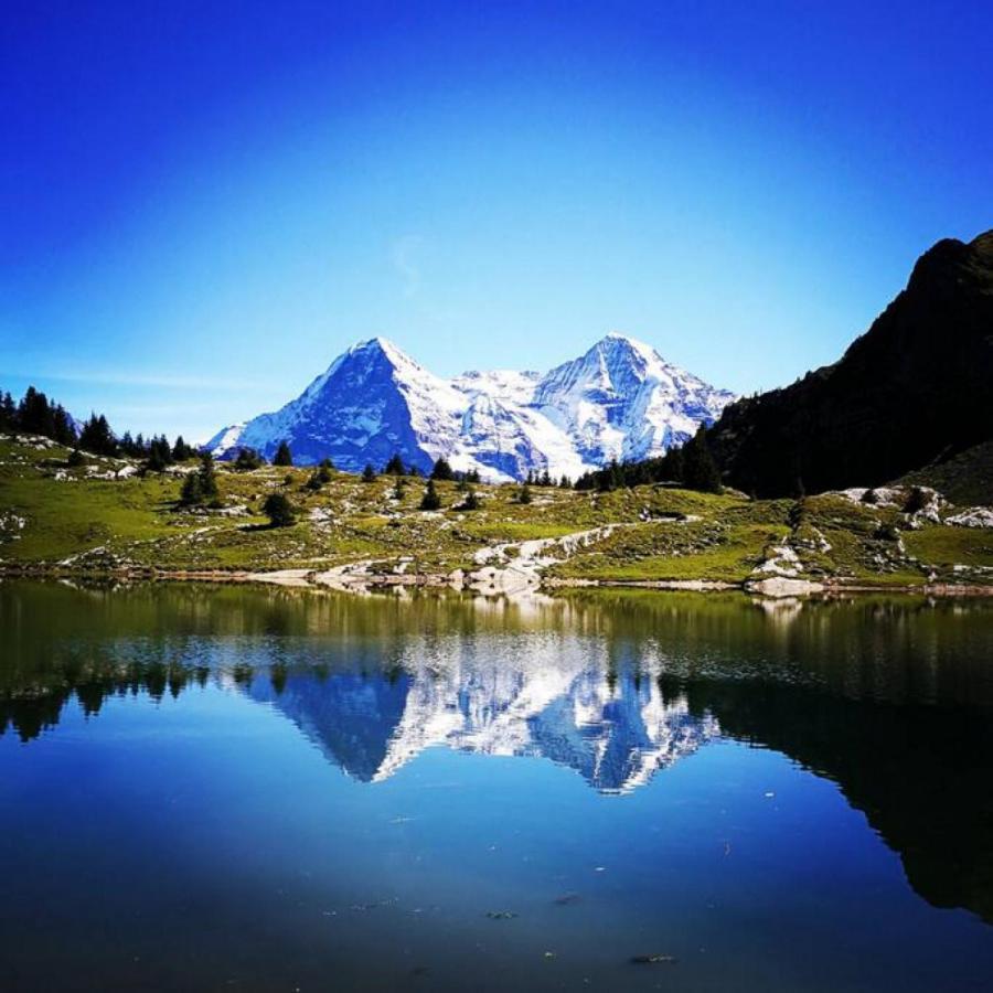 Swisshut Stunning Views Alps Lake - Chalet Erli Darligen Luaran gambar