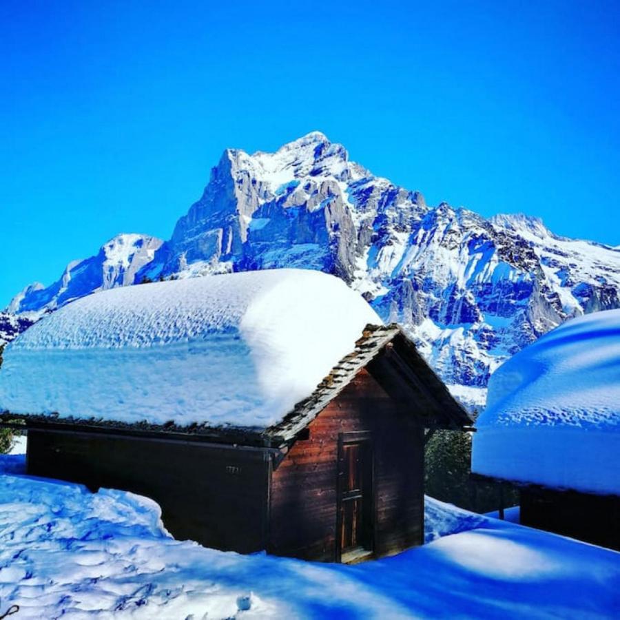 Swisshut Stunning Views Alps Lake - Chalet Erli Darligen Luaran gambar