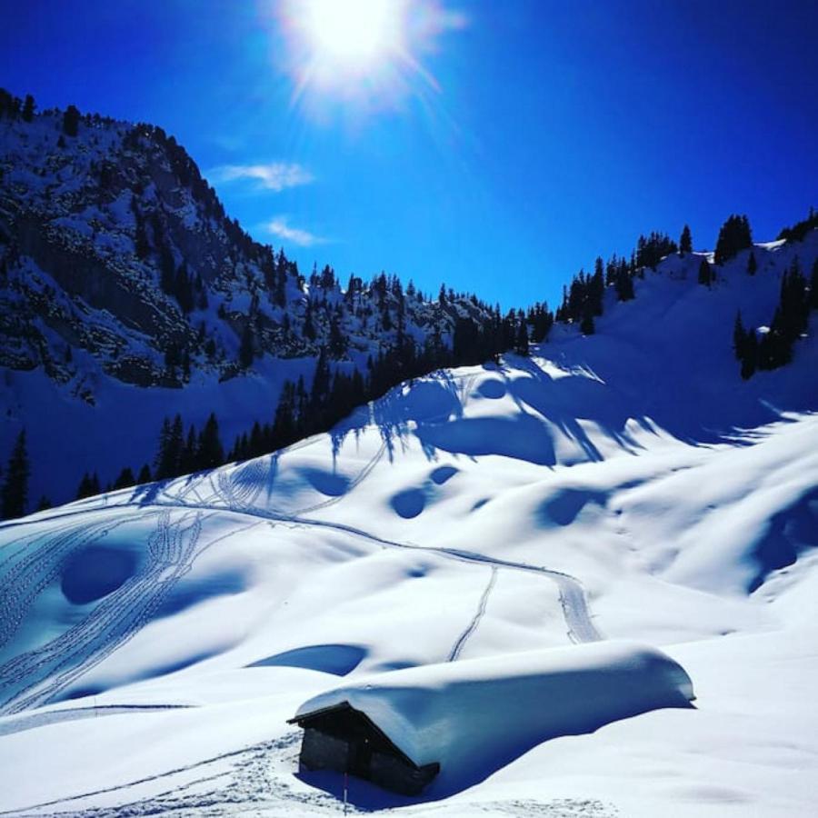 Swisshut Stunning Views Alps Lake - Chalet Erli Darligen Luaran gambar